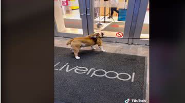 Reprodução: Redes sociais