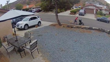 Reprodução / Reddit