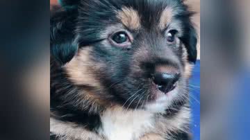 Reprodução/TikTok @bruna.wilesky