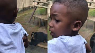 Reprodução/TikTok @eunicolereis_