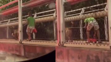 Reprodução/TikTok @vidaaltati