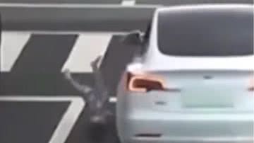 Reprodução/ Vídeo