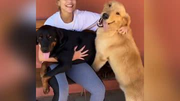 Reprodução/TikTok @carolmreis