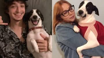 Reprodução/TikTok @danielaazzolin