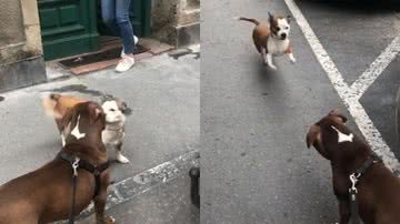 Reprodução / Redes Sociais