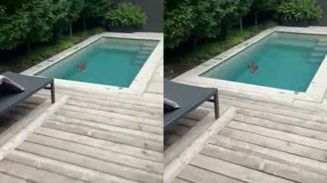 Reprodução / Redes Sociais