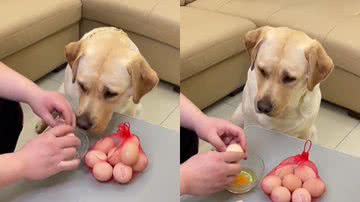 Reprodução / Redes Sociais