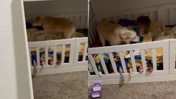 Reprodução / Redes Sociais