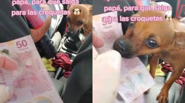 Reprodução / Redes Sociais