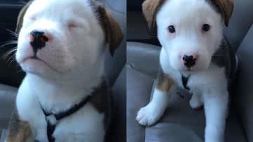 Reprodução / Redes Sociais