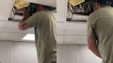 Reprodução / Redes Sociais