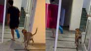 Reprodução / Redes Sociais