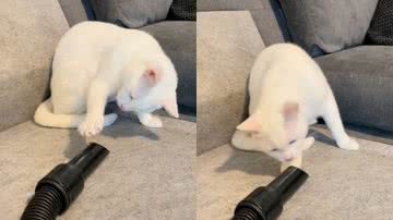 Reprodução / Redes Sociais