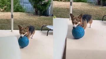 Reprodução / Redes Sociais