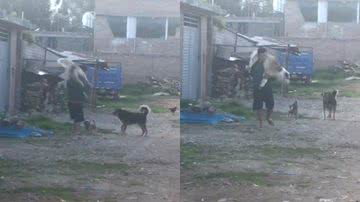 Reprodução / Redes Sociais