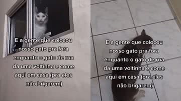 Reprodução / Redes Sociais