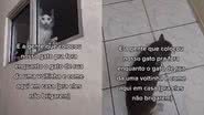Reprodução / Redes Sociais