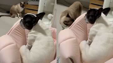 Reprodução / Redes Sociais