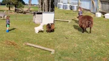 Reprodução / Redes Sociais