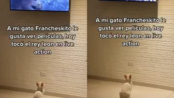 Reprodução / Redes Sociais