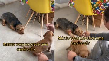 Reprodução / Redes Sociais