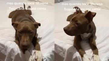 Reprodução / Redes Sociais