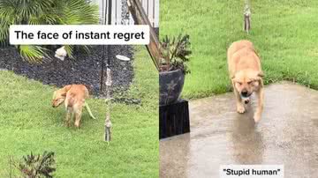 Reprodução / Redes Sociais