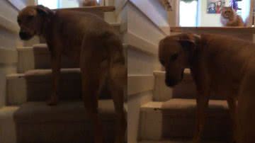 Reprodução / Redes Sociais