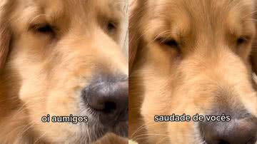 Reprodução / Redes Sociais