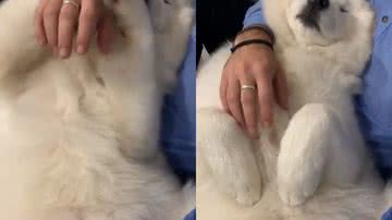 Reprodução / Redes Sociais