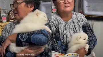 Reprodução / Redes Sociais