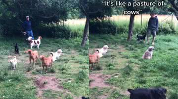 Reprodução / Redes Sociais