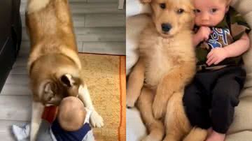 Reprodução / Redes Sociais