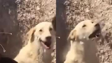 Reprodução / Redes Sociais