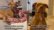 Reprodução / Redes Sociais