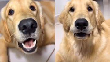 Reprodução / Redes Sociais