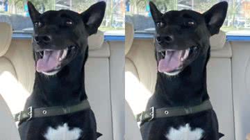 Reprodução / Redes Sociais