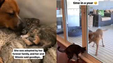 Reprodução / Redes Sociais