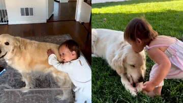 Reprodução / Twitter @goldenloverzone