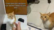 Reprodução / TikTok