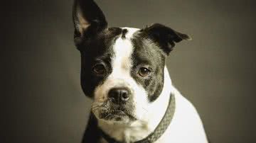 Ilustrativa / Pixabay