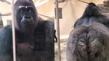 Reprodução/TikTok @its_just_me0215