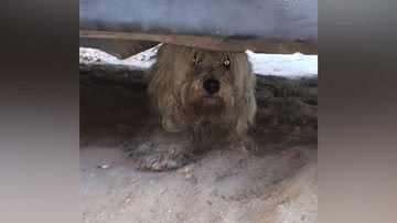 Reprodução/Instagram @iampauloandre