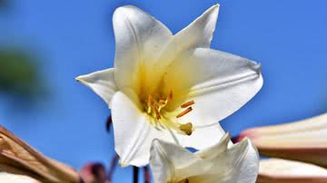 Foto Ilustrativa/Pixabay