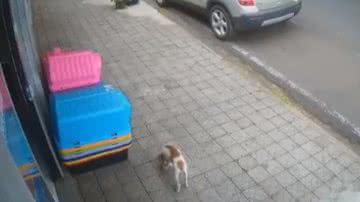 Reprodução/Twitter @98fmnatal