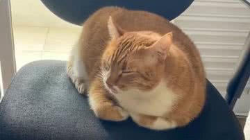 Reprodução/TikTok @leticiafsandrade