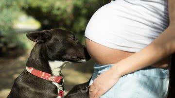 Reprodução/ Freepik