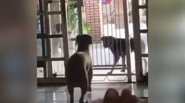 Reprodução/Twitter @memes_twittter