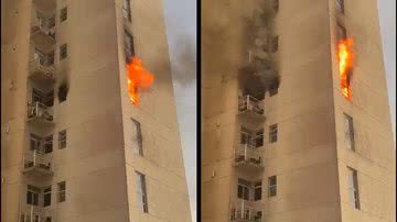 Reprodução/ Vídeo