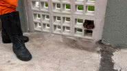Divulgação/Corpo De Bombeiros